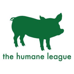 The humane league - The Humane League is committed to working with and providing reasonable accommodations to individuals with disabilities. If you need a reasonable accommodation because of a disability for any part of the employment process, please get in touch with our People team and let us know the nature of your request and your contact information.